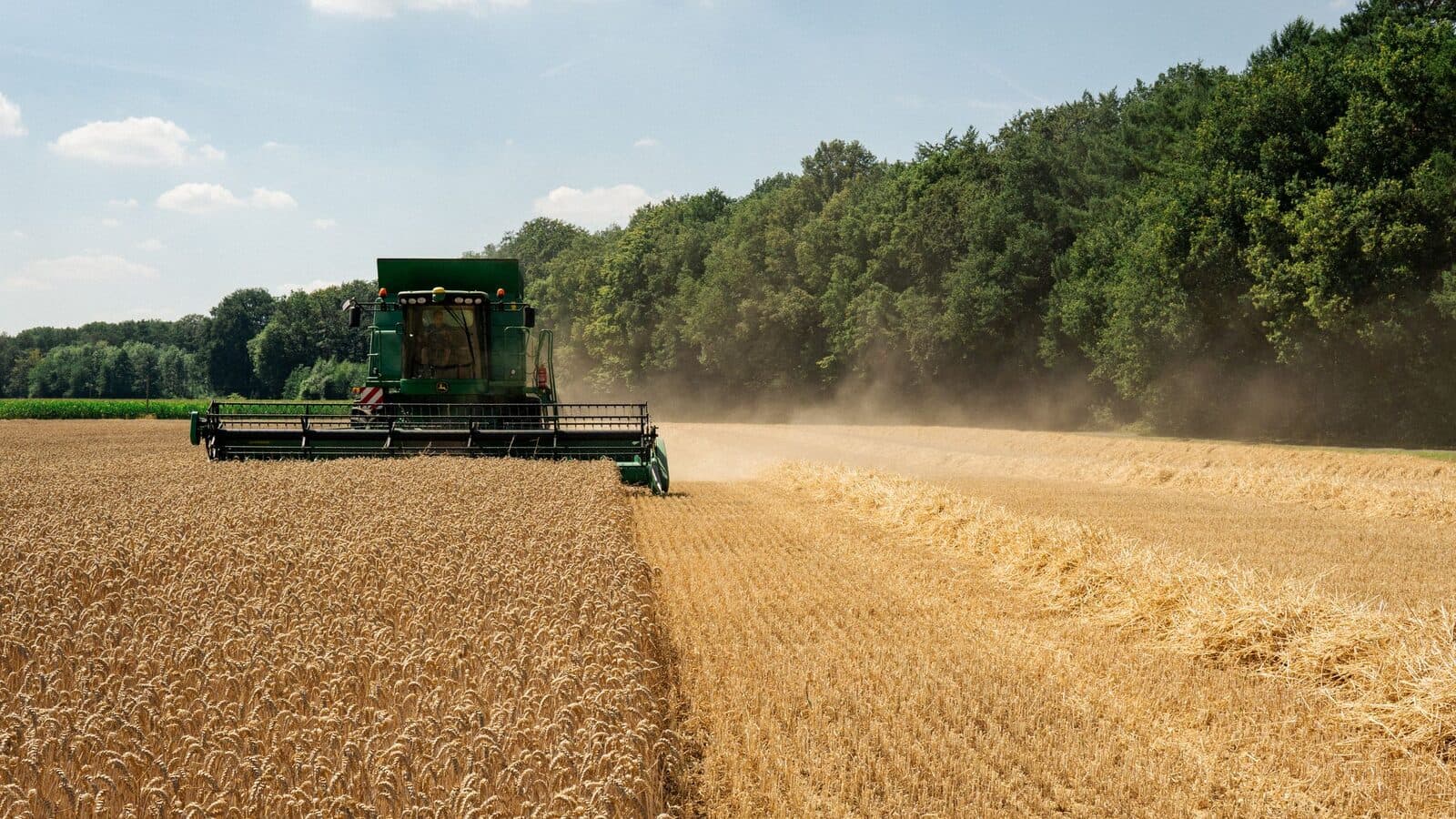 Combină agricolă recoltând grâu