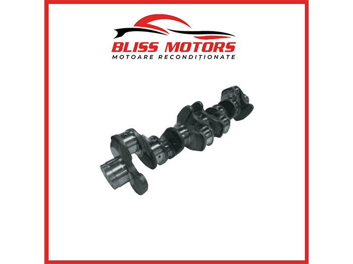 Vibrochen MAN D2066LF01 Euro 4/5 – Arbore Cotit OEM 51021010673